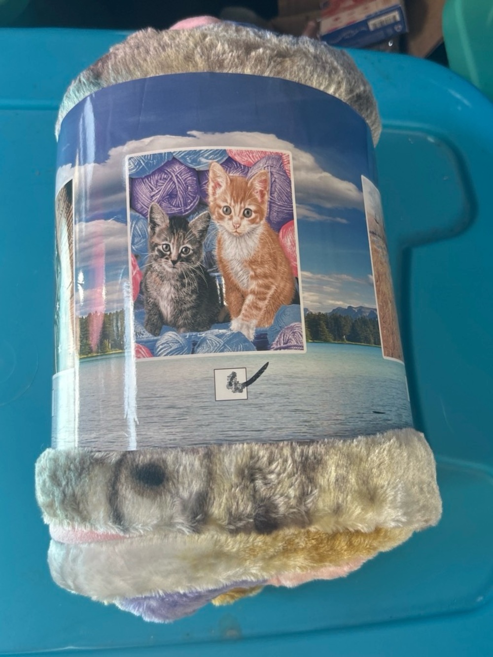 Plush Cat Throw Blanket in Multi-Color 50x60